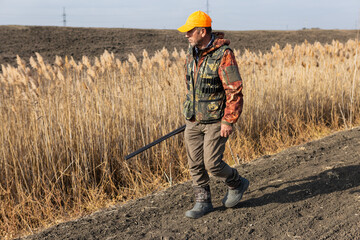 Mature man hunter with gun while walking on field.