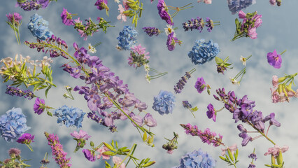 blue and purple wild summer flowers with lavender and hortensia placed on mirror with reflection of sky and clouds