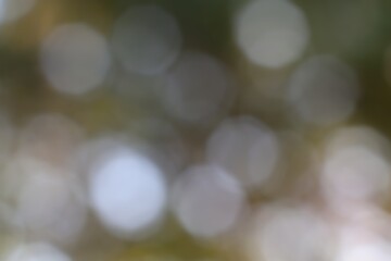 Ephemeral Spheres Abstract Glimmering Orb Background for Visual Arts