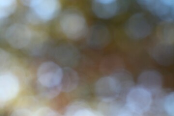Ethereal garden light plays, a bokeh dreamlike abstract background