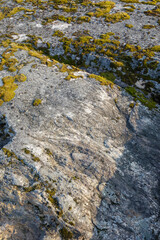 Detailed view of natural stone surface with scattered green moss, showing geological texture and subtle erosion patterns.