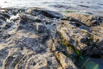 Detailed rocky shoreline with jagged textures, small water pools, green moss, and soft waves washing in under evening light.