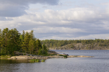Peaceful northern landscape featuring a calm lake, rocky shoreline, dense pine trees, and overcast...