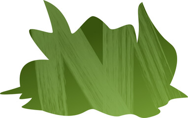 bush on isolated white