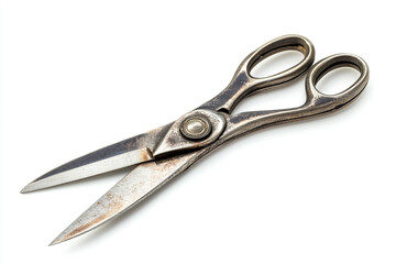 Obraz premium Pair of Vintage Kitchen Shears