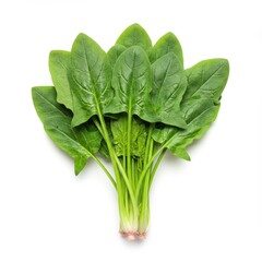 High-quality image of a fresh spinach bunch with vibrant green leaves, perfect for healthy food, cooking, or nutrition concepts.