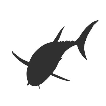 silhouette of a large tuna fish without background