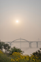 bridge in the morning