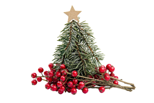 Decorative Christmas tree with red berries and a golden star on top, perfect for holiday celebrations and festive decor inspiration