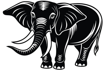 Fototapeta premium The monochrome presents a majestic elephant head with striking tusks and large ears