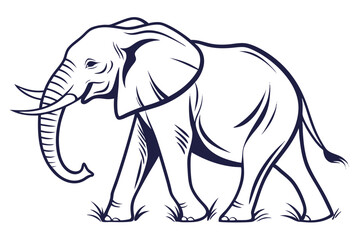 Obraz premium Striking elephant portrait in black and white reveals the power and grace of the beast