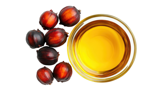 Glass bowl filled with golden palm oil surrounded by fresh red palm fruit freshly harvested from palm trees in tropical regions