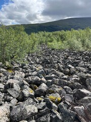 Rock formations in the the Swedish mountains