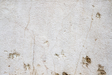 Close-Up of Wall with Textured Surface and Peeling Paint