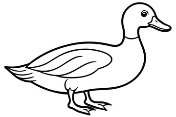 The vectorbased duck is standing, and it looks lovely in black and white line art