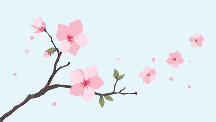 cherry blossom branch