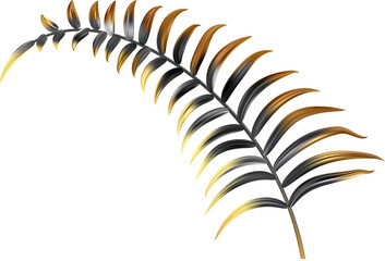 Gold and black palm leaves. Coconut tree branch. Exotic realistic foliage. Abstract botanical decoration for luxury invitation and presentation design.