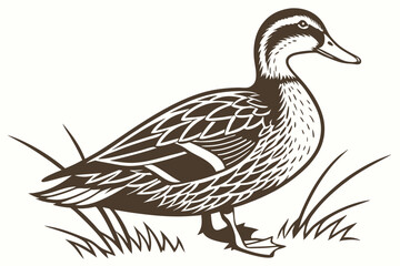 A monochrome duck stands gracefully amidst sparse grass in a tranquil outdoor setting