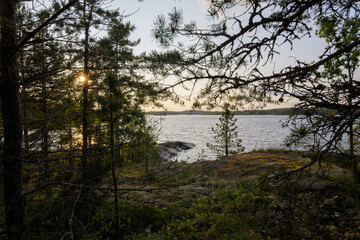 Tranquil scene of a northern forest looking out to a calm lake at sunset, framed by pine branches and rocky ground.