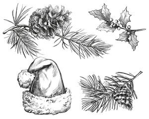 Pencil Sketch Forest Set &ndash; Pine Cones and Branches.The illustrations are inspired by botanical drawing traditions, with a focus on texture, fine lines, and natural forms