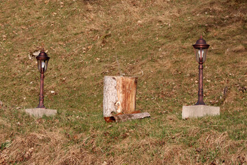 Two metal garden lamps with glass enclosures stand on concrete bases flanking a weathered tree...