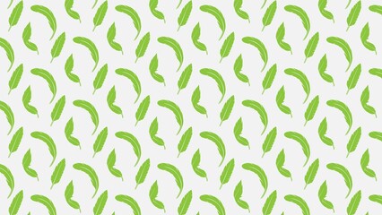 Vector seamless feathers pattern multicolored design