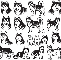 Obraz premium Siberian Husky Dog Vector Illustration in Black and White 
