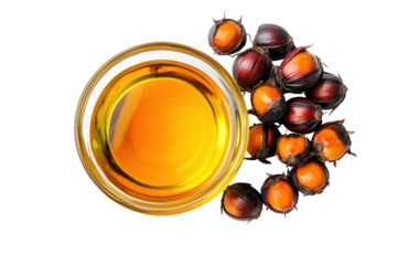 Fresh palm oil in a glass bowl with ripe palm fruits showcasing the vibrant colors and textures typical of tropical agriculture