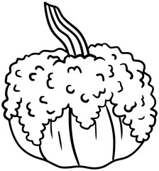Fototapeta premium Galeux D'eysines Pumpkin Vector Outline Line Art Drawing