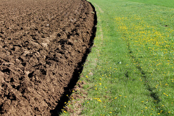 Sharp boundary between freshly plowed brown soil and green grassy field dotted with yellow...