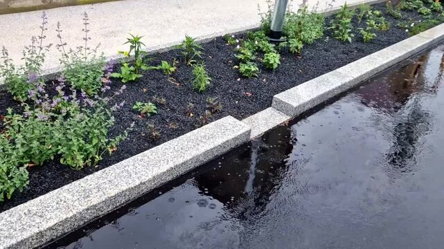 concrete gutter, irrigation channel, flower beds around smooth concrete wall with stream in the park in the yard of kindergarten. large leaves of hostas near the flowing water from a pump into pond