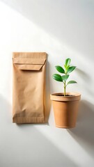 Small green plant in terracotta pot next to brown paper seed packet