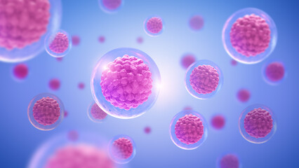 3D rendering, Microscope of cell, Embryonic stem cells, Life and biology concept