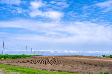 Long rows of raised beds stretch across the hilly terrain near the coast in Hokkaido, Japan