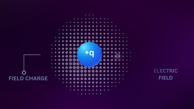 Electric Field and Electric Force Animation