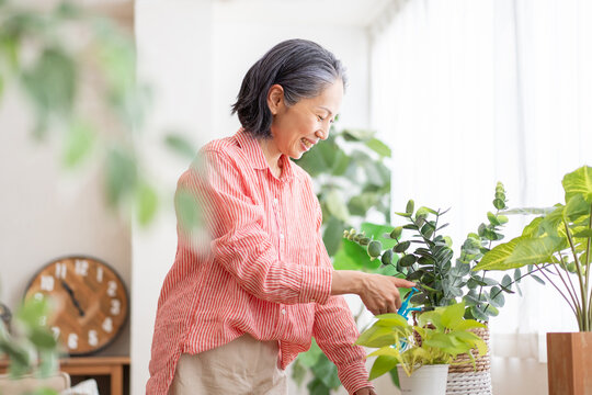 植物の世話をする女性