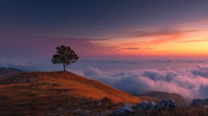 A lone tree standing on a hilltop above the clouds during a glowing sunset.
