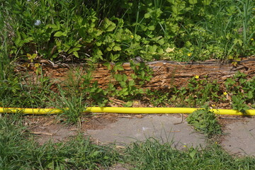 yellow irrigation shale on a summer cottage lies in the grass, garden, 2