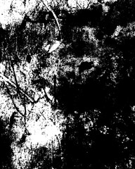 Fototapeta premium abstract grunge background