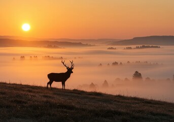 Naklejka premium Shadowy figure of a deer standing on a misty hilltop during sunrise. 