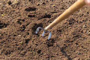 garden tools hoe during tillage in the field, old iron hoe with wooden handle during agricultural work, close up