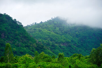 Obraz premium Lush Green Hills with Misty Clouds and Overcast Sky in Nature