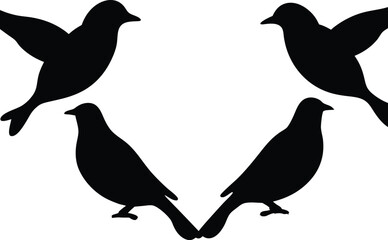 Bird silhouette, wildlife, flying bird silhouette