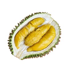 Durian on white background 