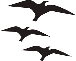 Bird silhouette, wildlife, flying bird silhouette