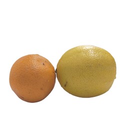 orange and lemon