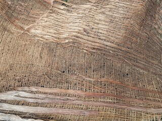 Coconut fiber bark texture background, close up view 