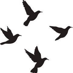 Bird silhouette, wildlife, flying bird silhouette