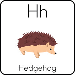 H for Hedgehog