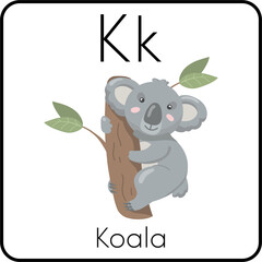 K for Koala